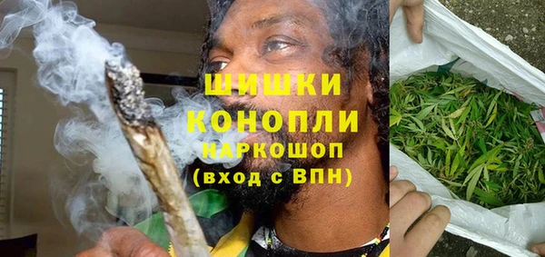 трава Арсеньев