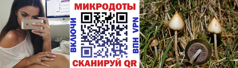 Псилоцибиновые грибы Psilocybe  купить наркоту  hydra сайт  Плавск 