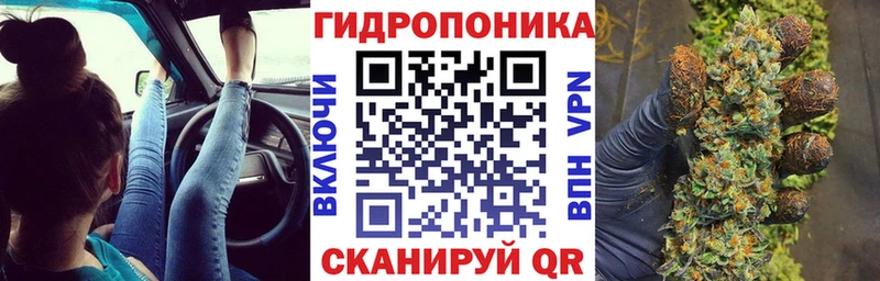 Бошки Шишки OG Kush дарнет шоп Плавск